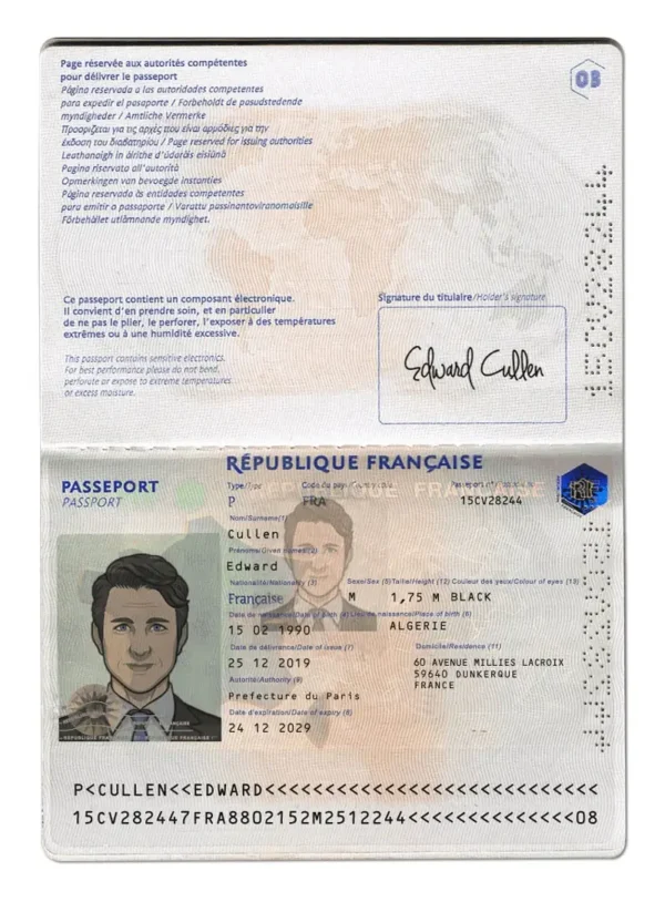 France-Passport-PSD-Template France Passport PSD Template Editable Layers High-Res
