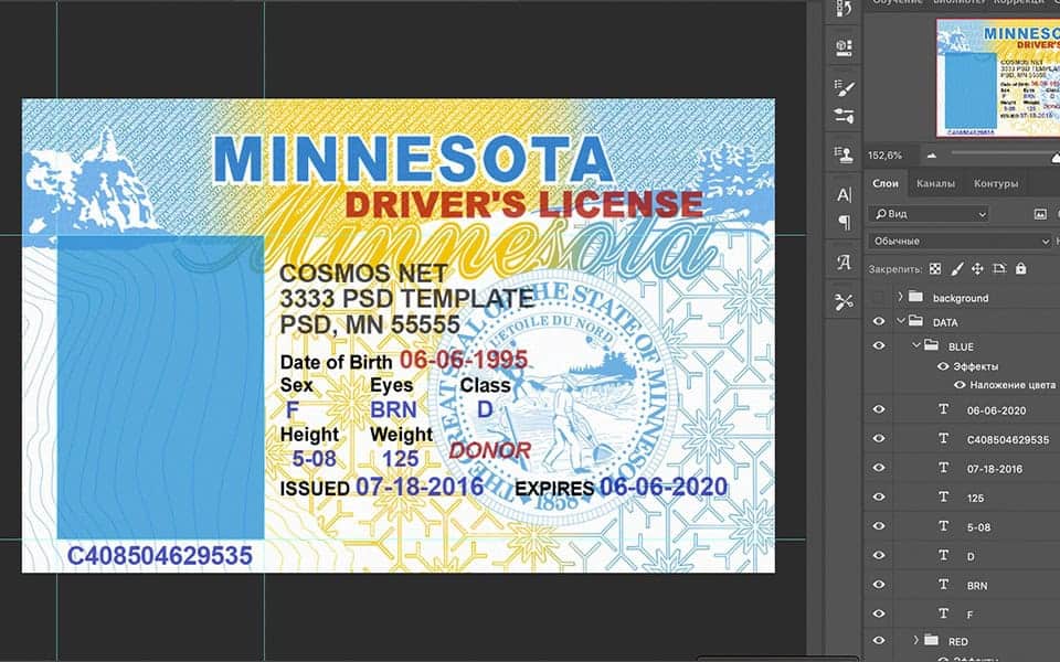 MN Minnesota driver license Psd Template