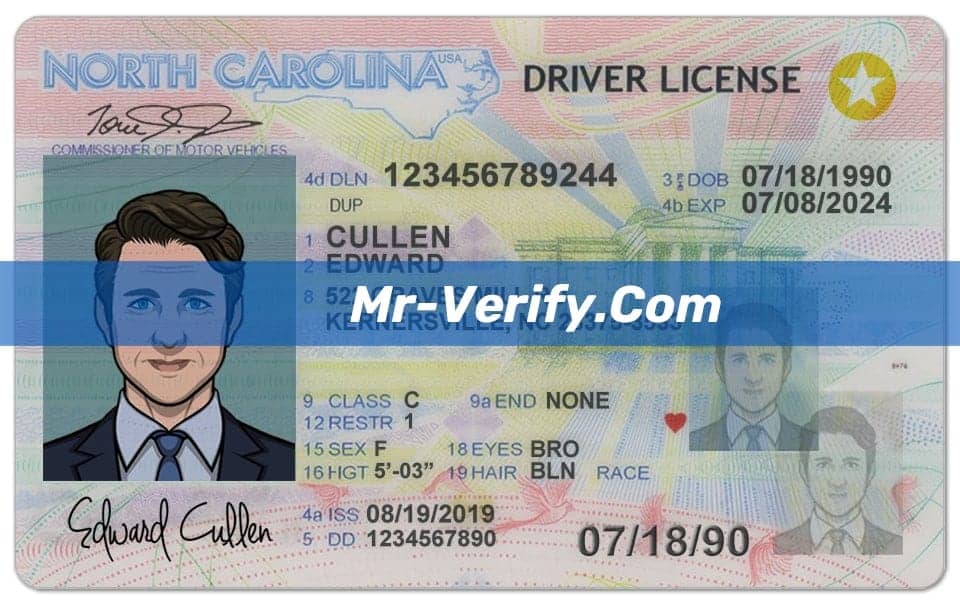 North Carolina DL(Front&Back)-min Free editable Blank north carolina Drivers License Template