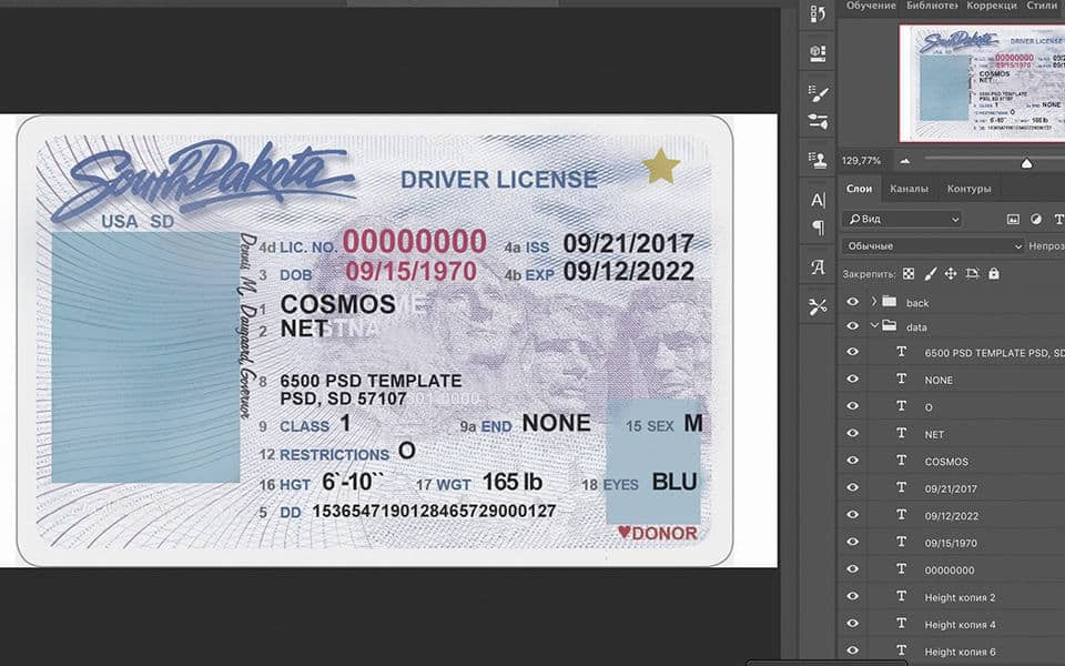 SD South Dakota driver license Psd Template