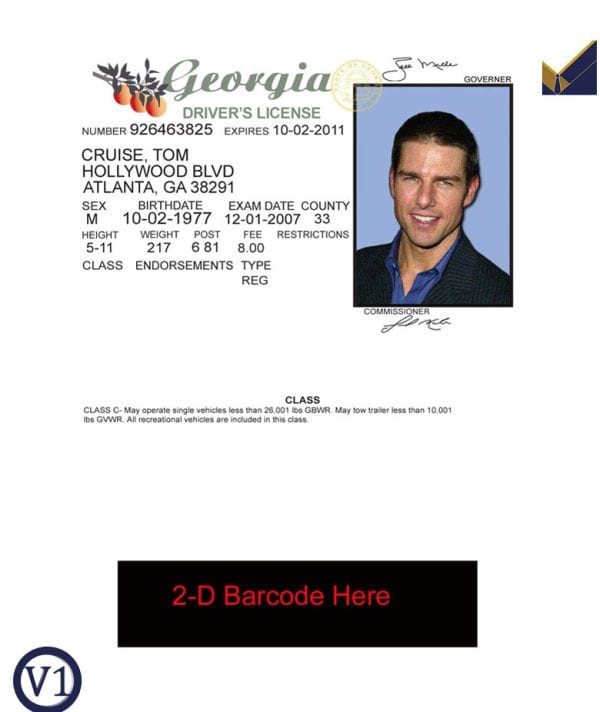 sample Georgia driver's license