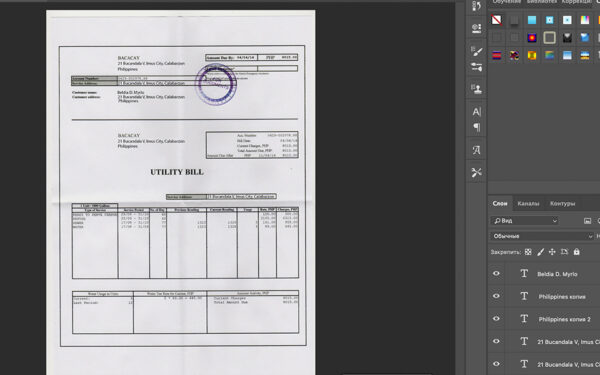 bill_jpn Japan Bacacay Utility Bill psd template