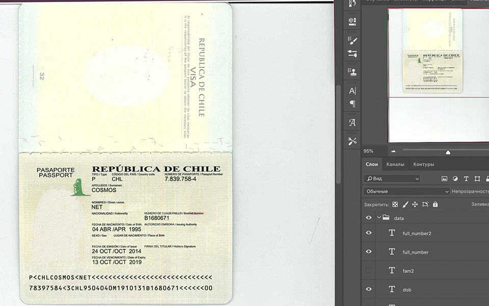 chl Chili Passport psd template