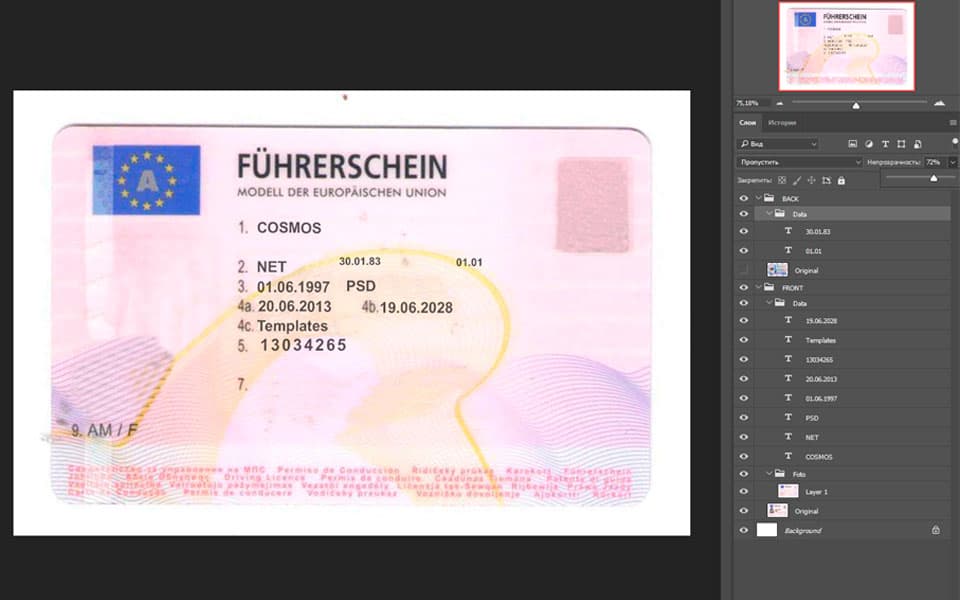 dl_aut Austria driver license Psd Template
