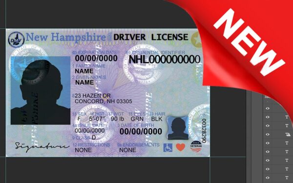 New Hampshire driver license Psd Template