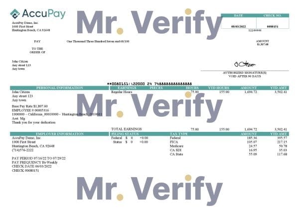 Accupay-Demo-Inc.-payroll-compan.jpg USA Accupay Demo Inc. payroll company pay stub Word and PDF template