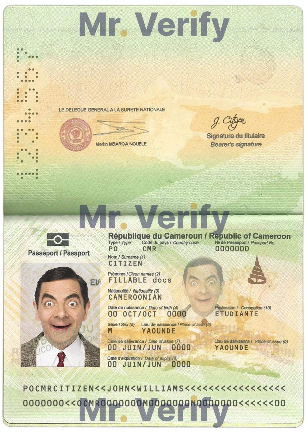 Authentic-Cameroon-PSD-Passport-Template.jpg Cameroon Passport PSD Template | High Quality - Image 2
