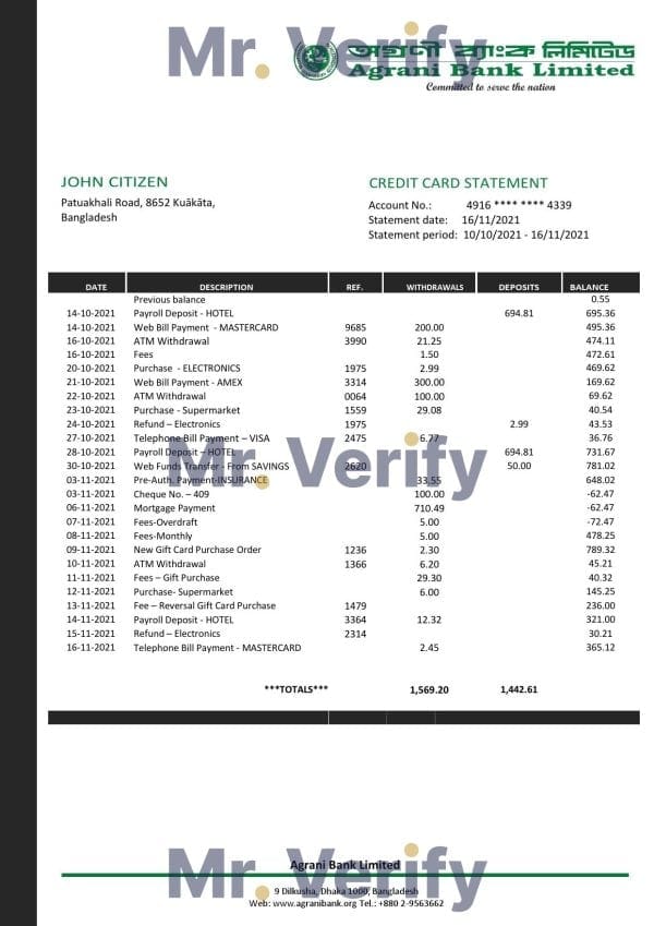 Bangladesh Agrani Bank statement template in Word and PDF format