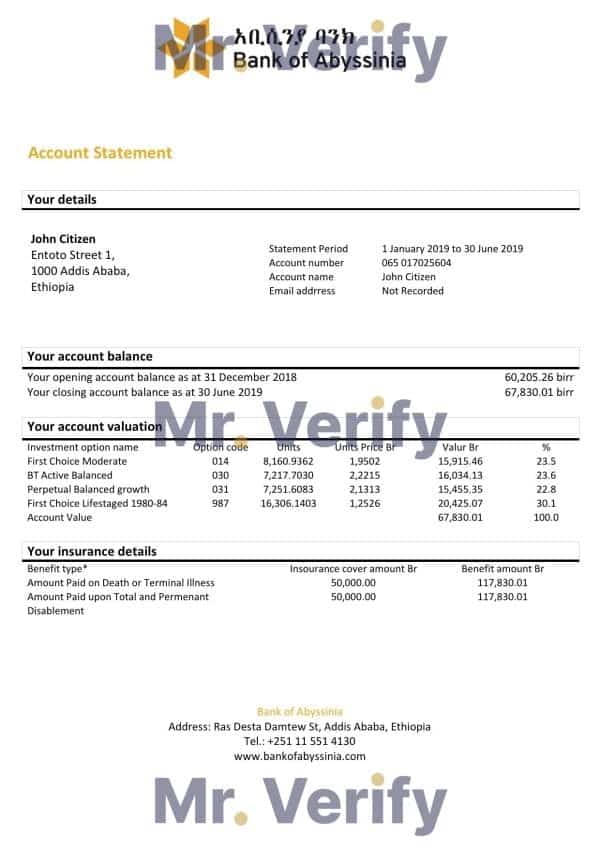 Ethiopia Bank of Abyssinia bank statement easy to fill template in .xls and .pdf file format