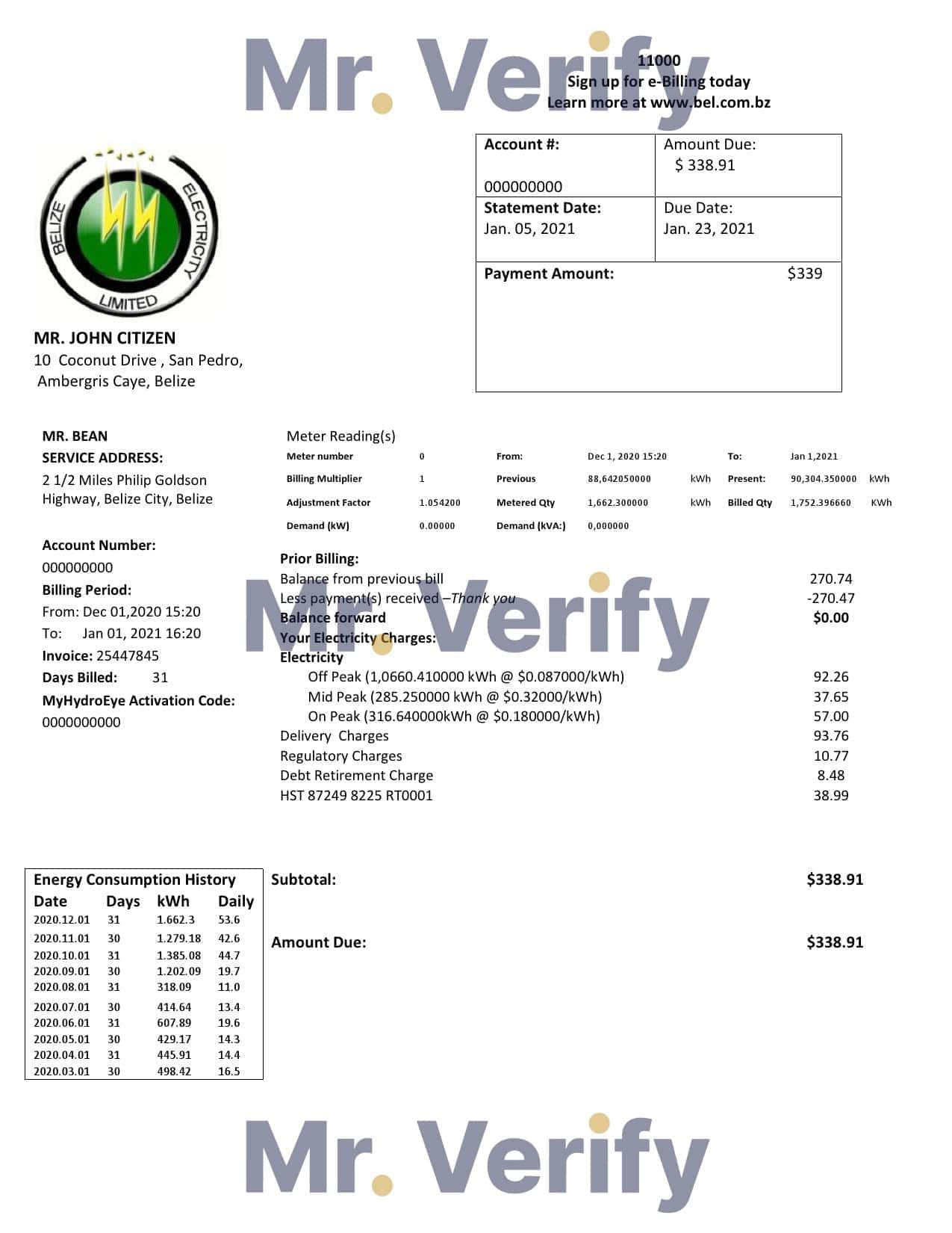 Belize-Electricity-Limited-electricity.jpg Belize Electricity Limited electricity utility bill template in Word and PDF format