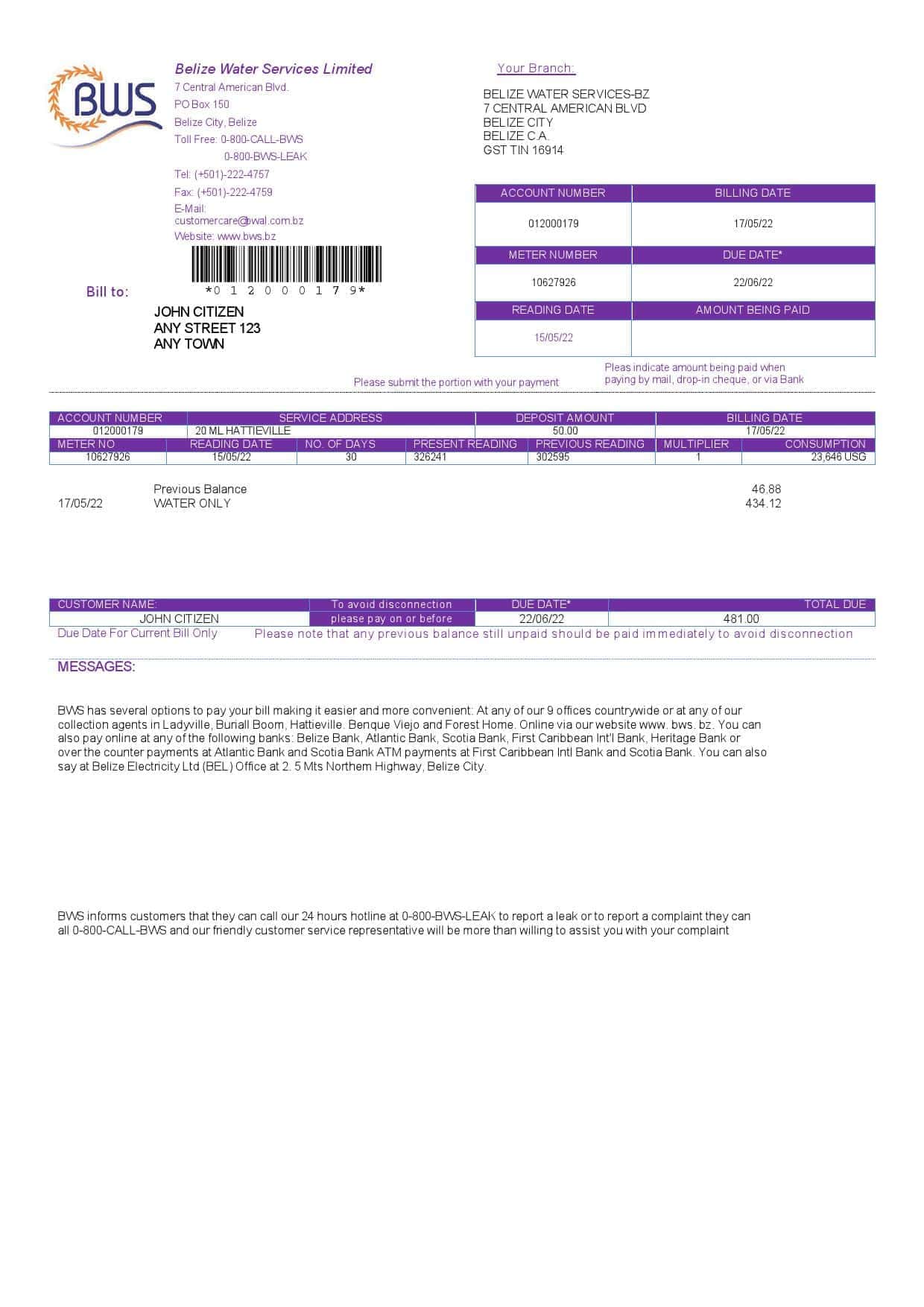Belize-Water-Services.jpg Belize Water Services Limited utility bill template in Word and PDF format