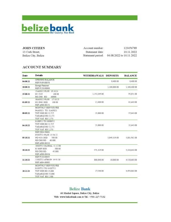 Belize-bank-statement-template-in-Excel-and-PDF-format-fully-editable.jpg Belize bank statement template in Excel and PDF format, fully editable
