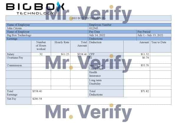 Big-Box-Technologie.jpg USA Big Box Technologies technology company pay stub Word and PDF template