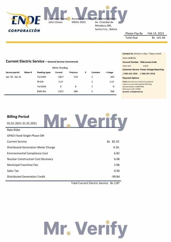 Bolivia ENDE Corporacion electricity utility bill template in Word and PDF format