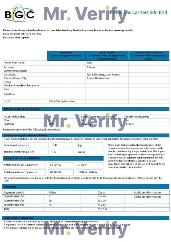 Brunei Gas Carriers gas utility bill template in Word and PDF format