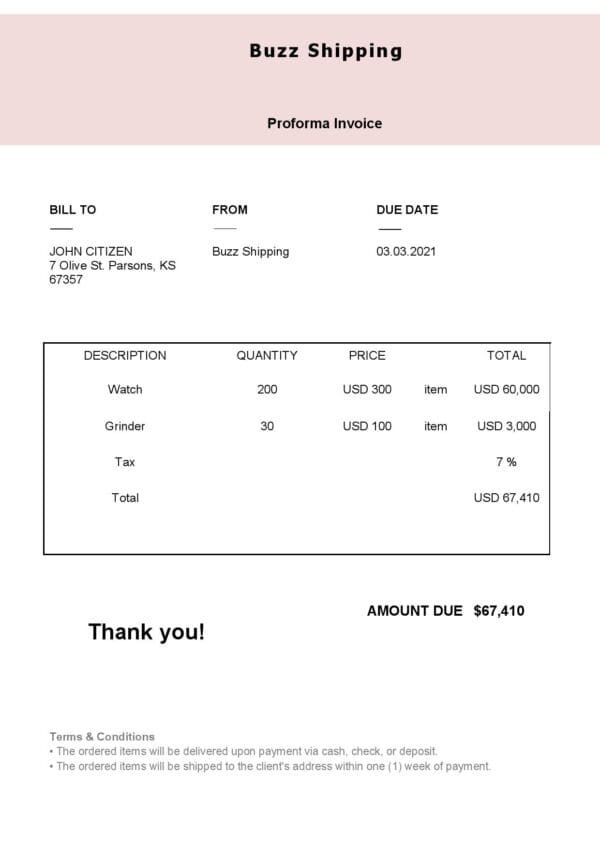 USA Buzz Shipping invoice template in Word and PDF format, fully editable