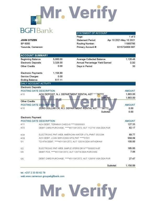 Cameroon BGFI bank statement easy to fill template in Excel and PDF format