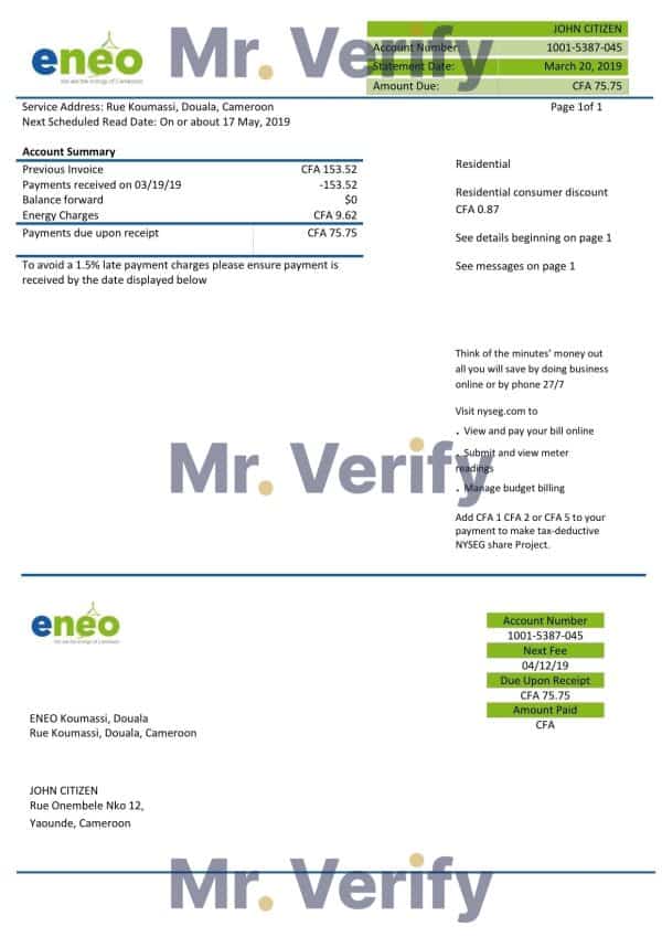Cameroon ENEO electricity utility bill template in Word and PDF format