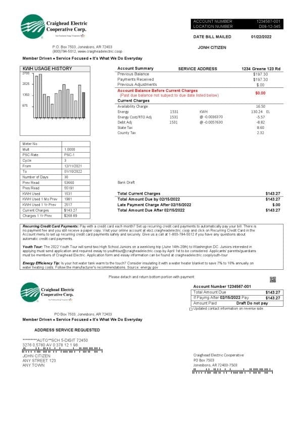 Craighead.jpg USA Craighead Electric utility bill template in Word and PDF format