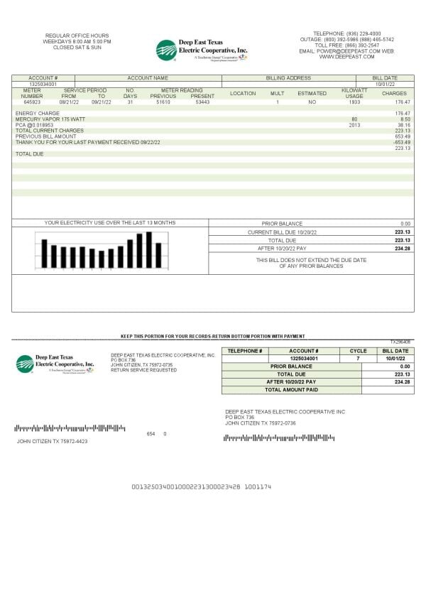 Deep-East-Texas.jpg USA Deep East Texas Electric utility bill template in Word and PDF format