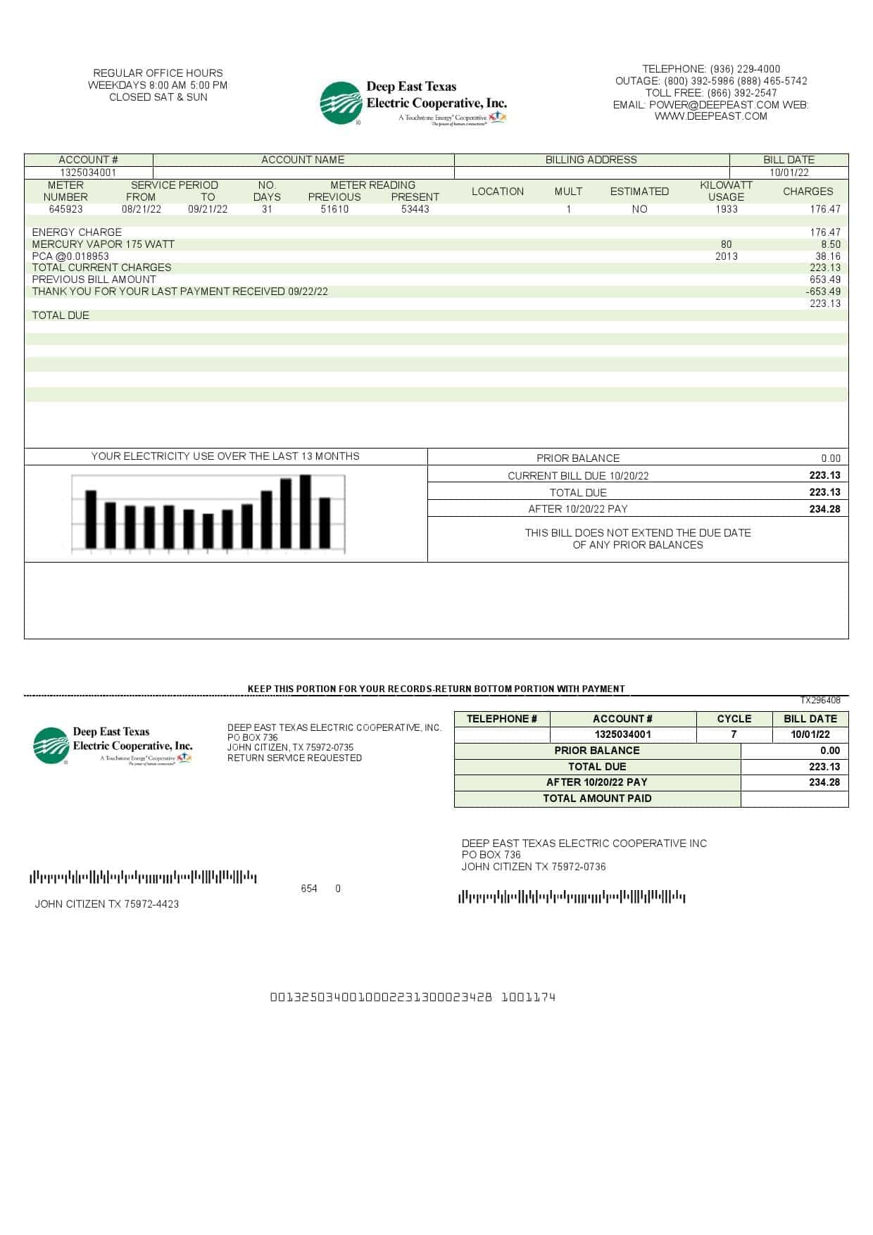 Deep-East-Texas.jpg USA Deep East Texas Electric utility bill template in Word and PDF format