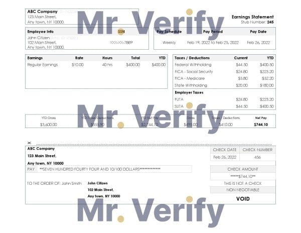 USA New York earnings statement Word and PDF template