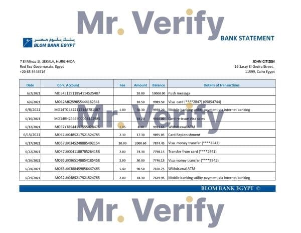 Egypt-Blom-Bank.jpg Egypt Blom Bank of Egypt bank statement easy to fill template in Excel and PDF format