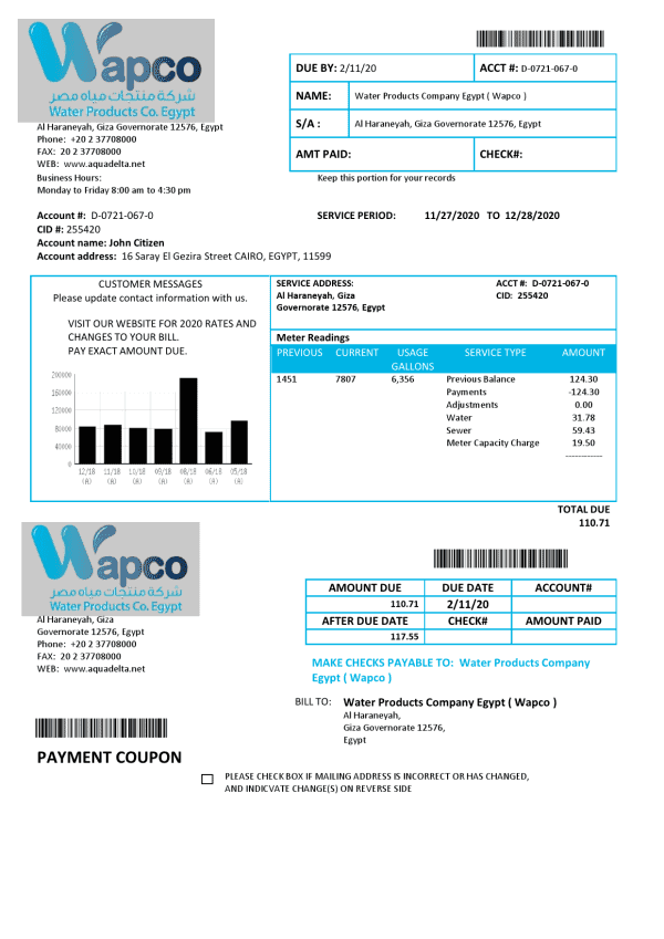 Egypt Water Products Company Egypt (Wapco) utility bill template in Word and PDF format