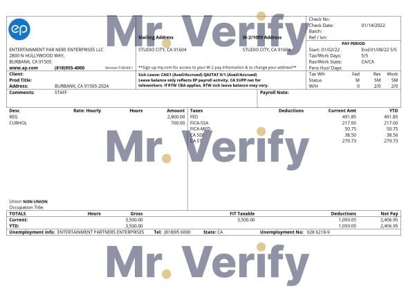 USA Entertainment Partners Enterprises financial company pay stub Word and PDF template
