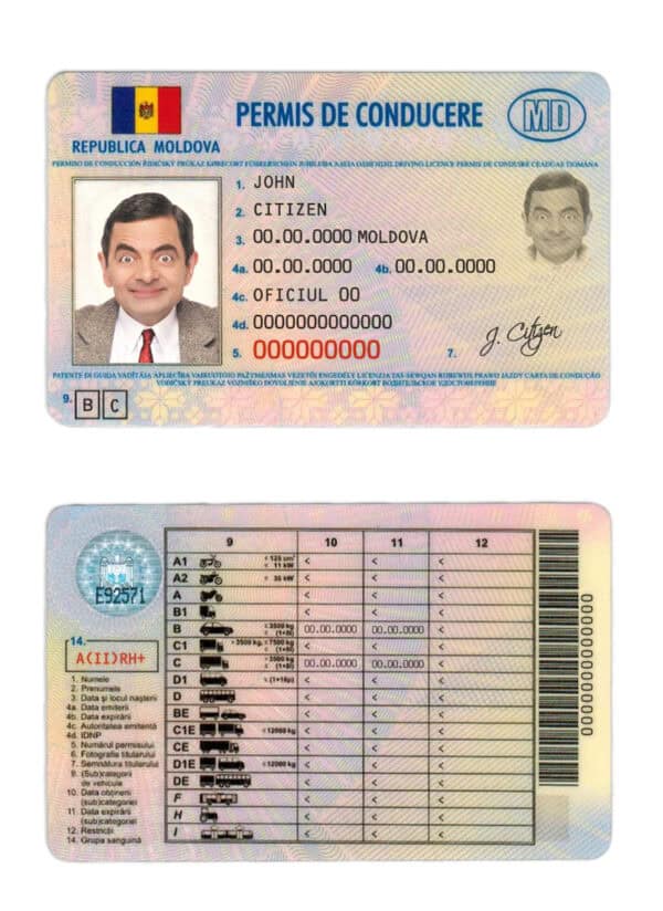 Fake Moldova Driver License Template