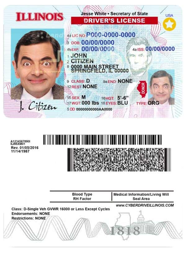 Illinois driver license template Fake USA Illinois Driver License Template