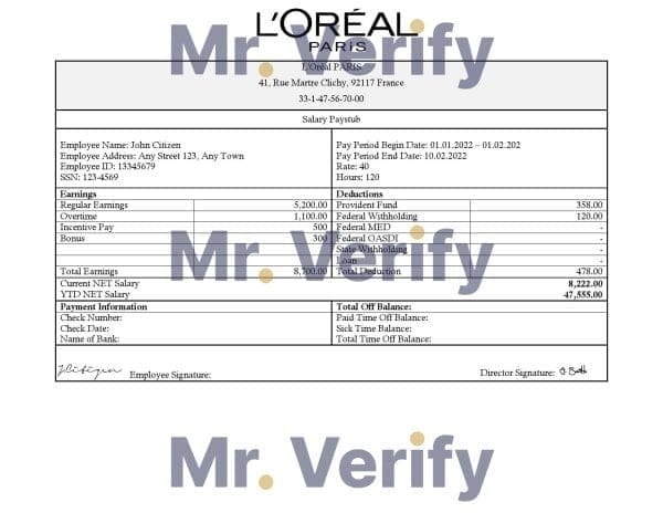 France-Loreal-Paris-cosmetic-distributing.jpg France Loreal Paris cosmetic distributing company pay stub Word and PDF template