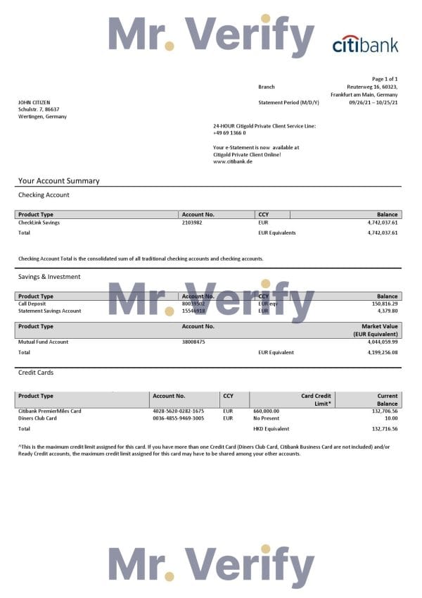 Germany Citibank bank account statement template in Word and PDF format