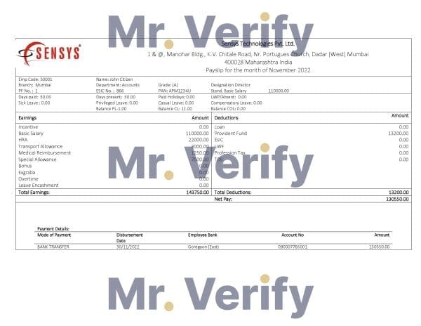 India-Sensys-technologies-Pvt.jpg India Sensys technologies Pvt IT technologies pay stub Word and PDF template