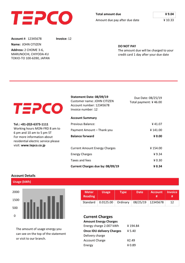 Japan Tokyo Electric Power Company Electricity Utility Bill Template in Word and PDF format