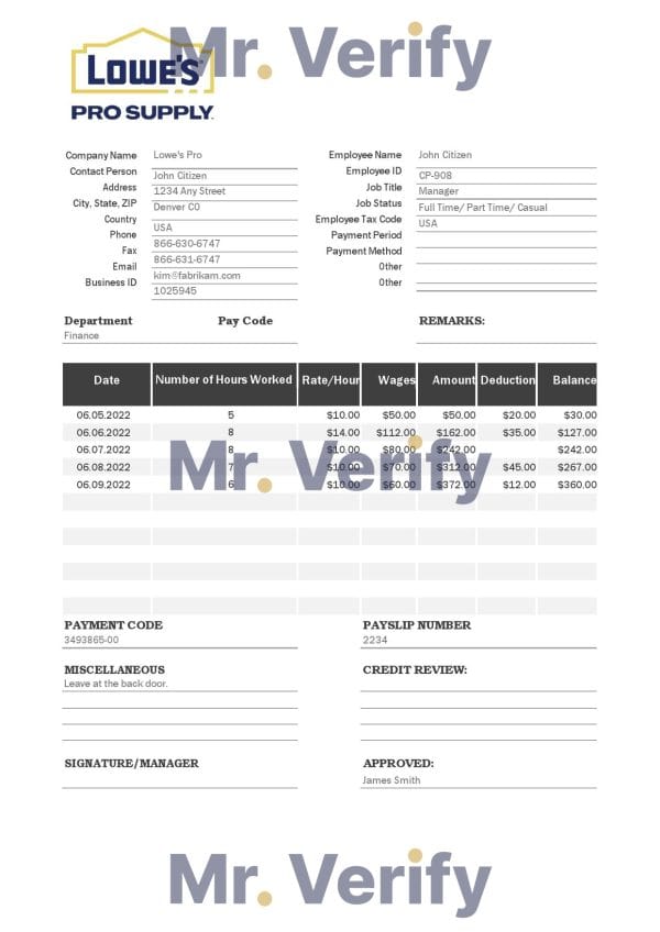 USA Lowe’s Pro Supply wholesale company pay stub Word and PDF template