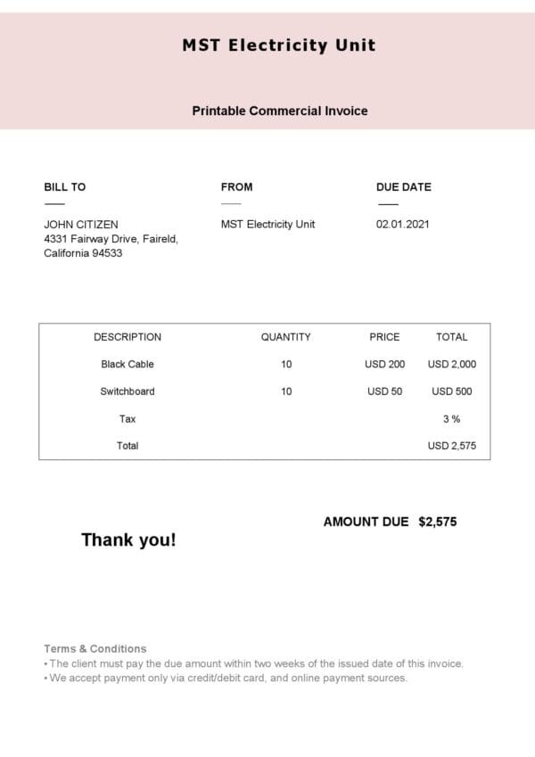 USA MST Electricity Unit invoice template in Word and PDF format, fully editable