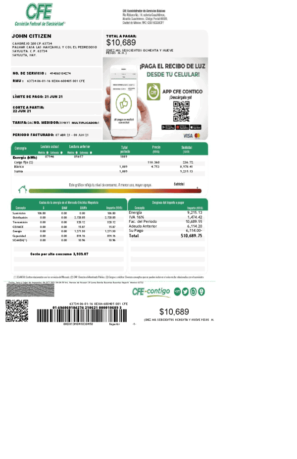 Mexico-CFE_000001.png Mexico Federal Electricity Commission (CFE) utility bill template in Word format, 2 pages