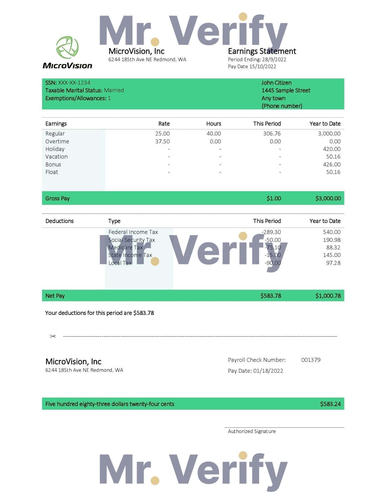 MicroVision-informational.jpg USA MicroVision informational company pay stub Word and PDF template