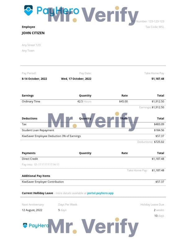 USA PayHero financial company pay stub Word and PDF template
