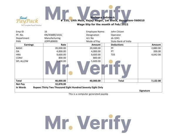 Sadhana-infotech-pharmaceutical.jpg India Sadhana infotech pharmaceutical company pay stub Word and PDF template