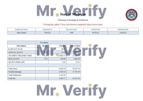 USA State of Michigan social services company pay stub Word and PDF template