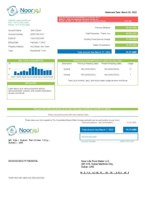 UAE Noor Life Pure Water LLC utility bill template in Word and PDF format