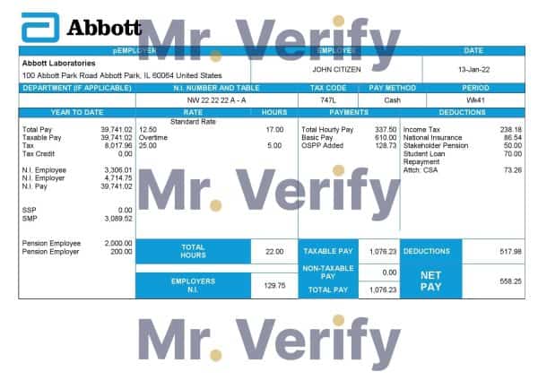 United Kingdom Abbott Laboratories medical devices distributing company pay stub Word and PDF template