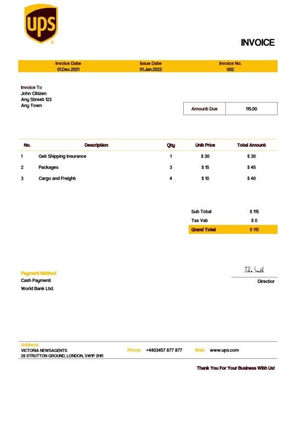 USA UPS invoice template in Word and PDF format