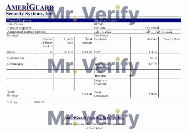 USA AmeriGuard Security Services Inc security company pay stub Word and PDF template