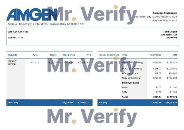 USA Amgen biotechnology company pay stub Word and PDF template