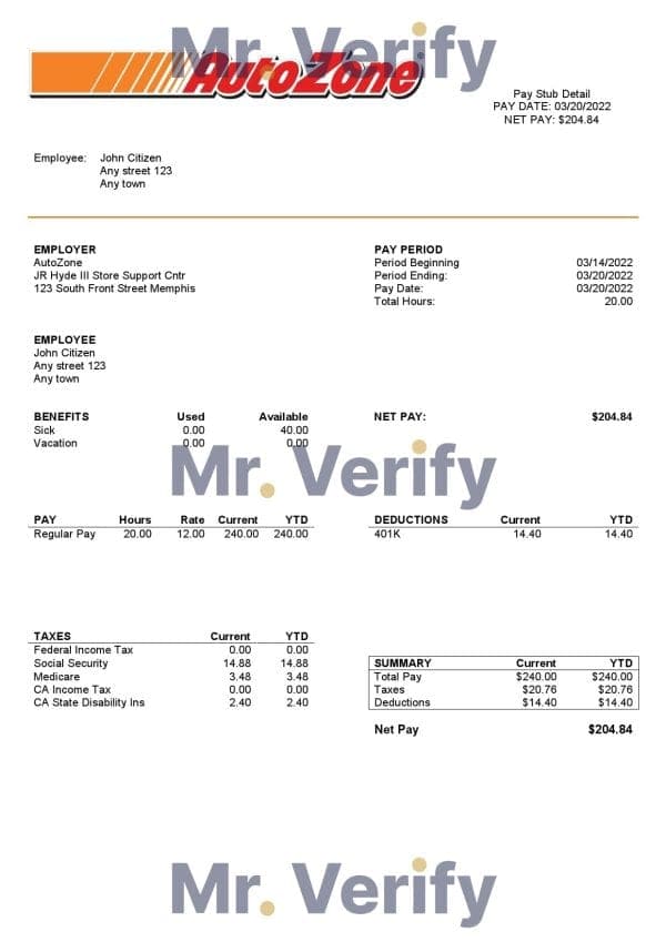 USA Auto Zone auto retailer company pay stub Word and PDF template