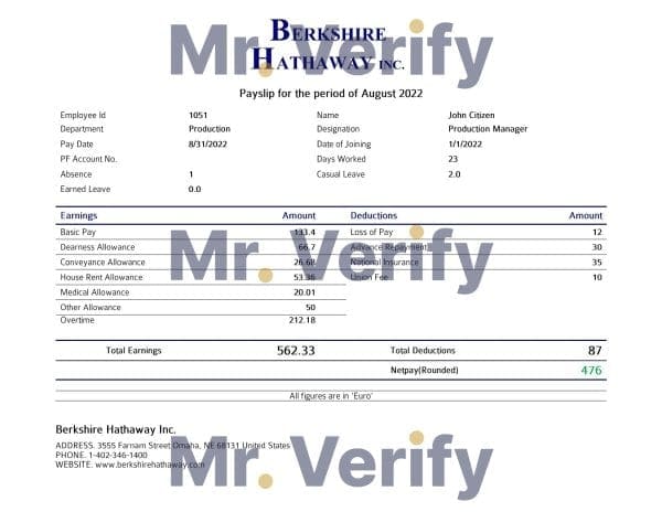 USA Berkshire Hathaway conglomerate company pay stub Word and PDF template