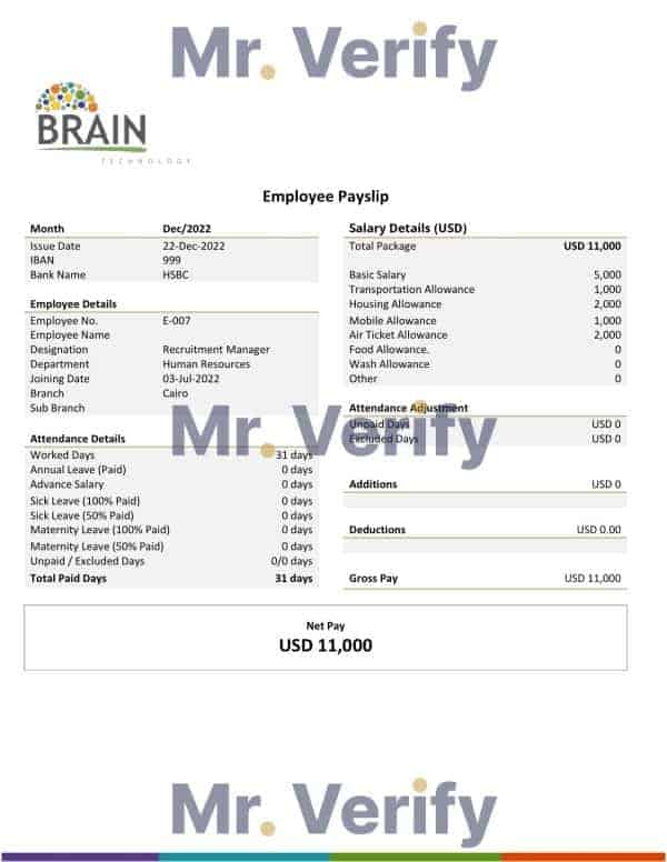USA-Brain.jpg USA Brain Technology technology company pay stub Word and PDF template